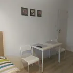 Ubytování v soukromí Cichy Zakatek Sianożęty