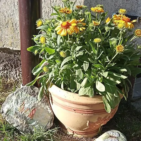 Cichy Zakatek Homestay szállás