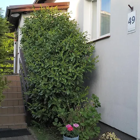 Cichy Zakatek Sianozety