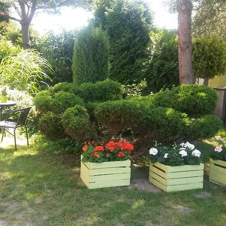 Проживание в семье Cichy Zakatek