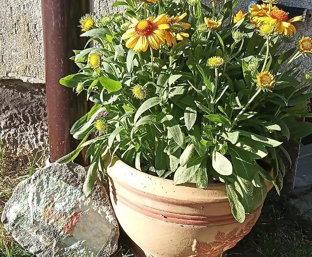 Cichy Zakatek Δωμάτια σε οικογενειακή κατοικία