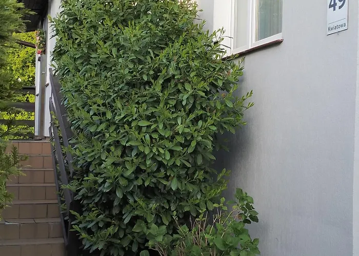 Cichy Zakatek Sianozety